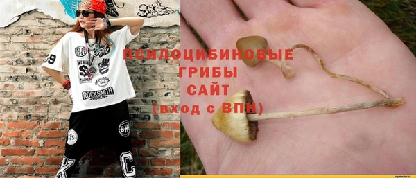 марки nbome Белокуриха