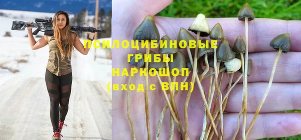 стафф Беломорск