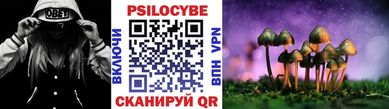Псилоцибиновые грибы GOLDEN TEACHER продажа наркотиков Константиновск